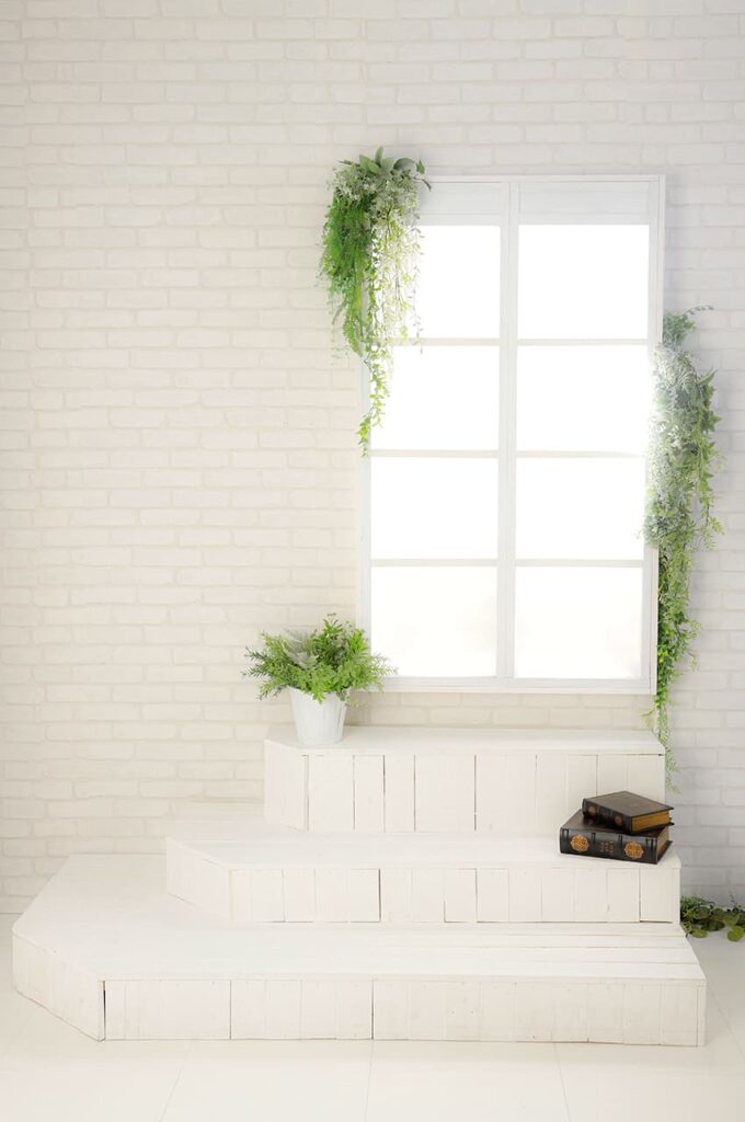 木津川市・精華町・京田辺市の成人式_木津川店背景